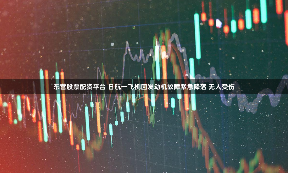 东营股票配资平台 日航一飞机因发动机故障紧急降落 无人受伤