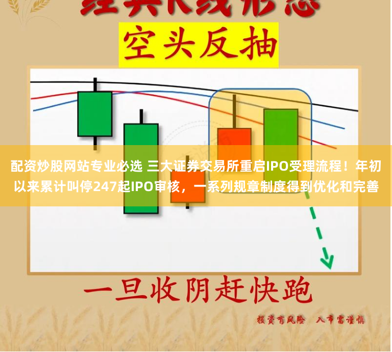 配资炒股网站专业必选 三大证券交易所重启IPO受理流程！年初以来累计叫停247起IPO审核，一系列规章制度得到优化和完善